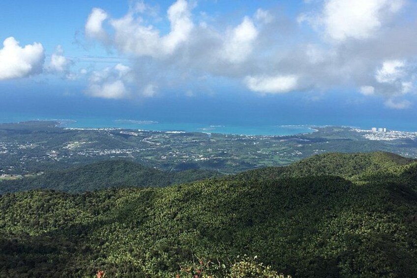 Enjoy amazing views of the forest mountains and the coast 2