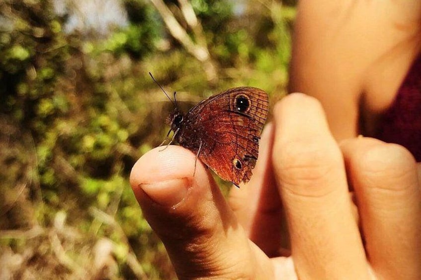 Feel nature at its purest 3