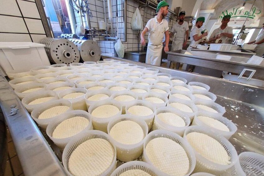 A food production facility with large containers of dough. 5