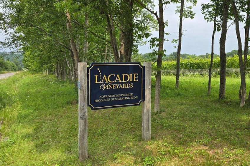 Visit the best wineries in the region with international acclaim. 1