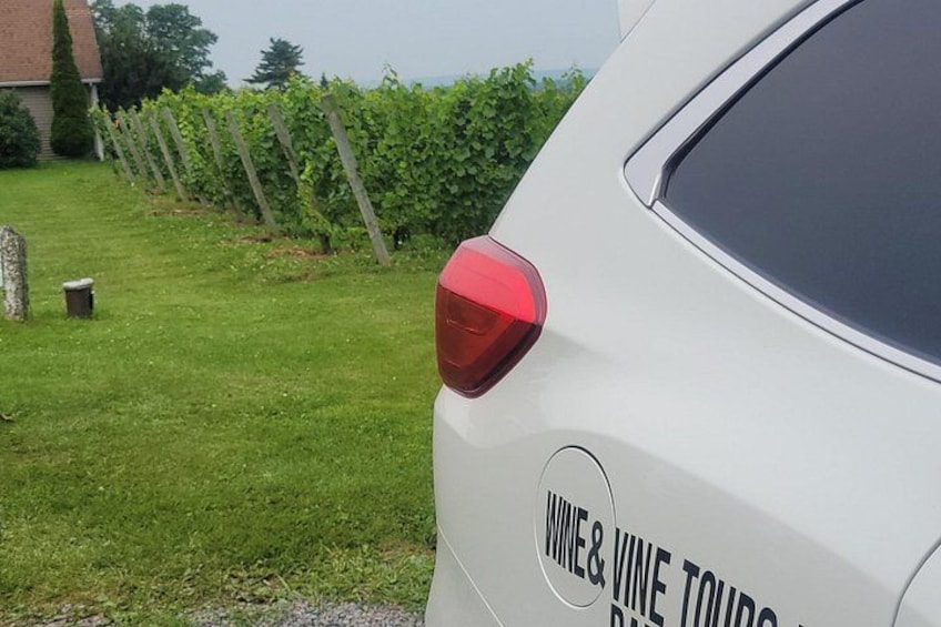 Our 8 seat SUV brings versatility and comfort to our tours. 5