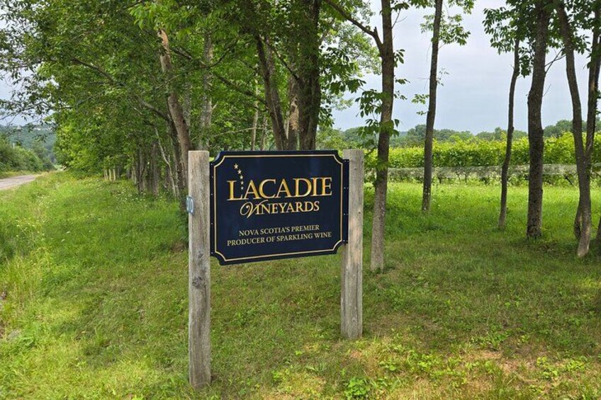 Une enseigne pour les vignobles Lacadie, avec en arrière-plan des arbres et de l’herbe. 1
