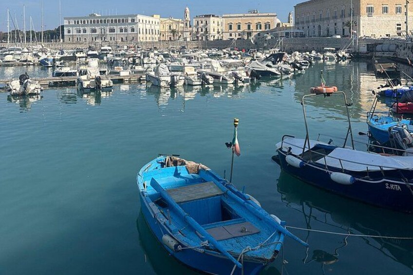 A marina with several boats docked, a prominent blue boat in the foreground, and historic buildings in the background. 3