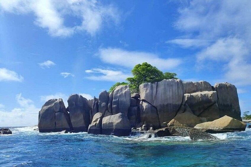 Half Day Snorkeling Coco and Felicite Island 2