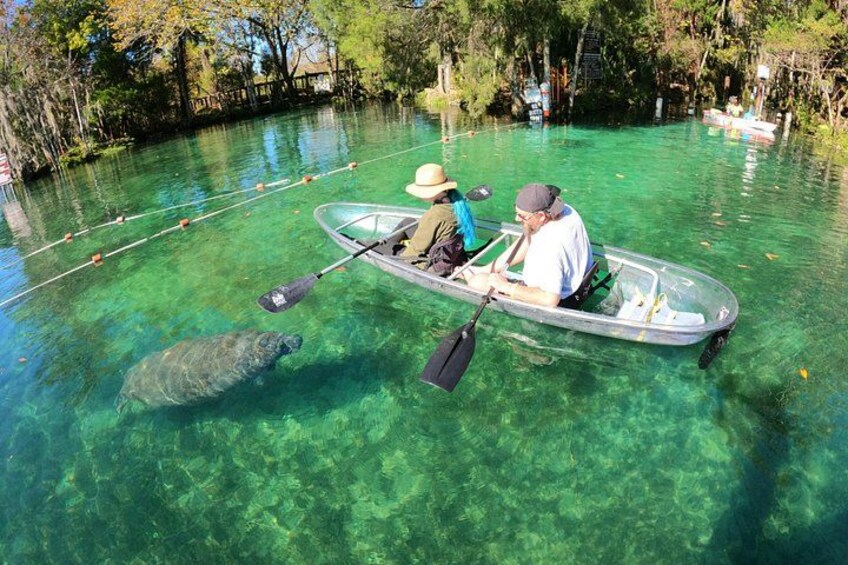 A man in a kayak on a clear water body with a turtle nearby. 1