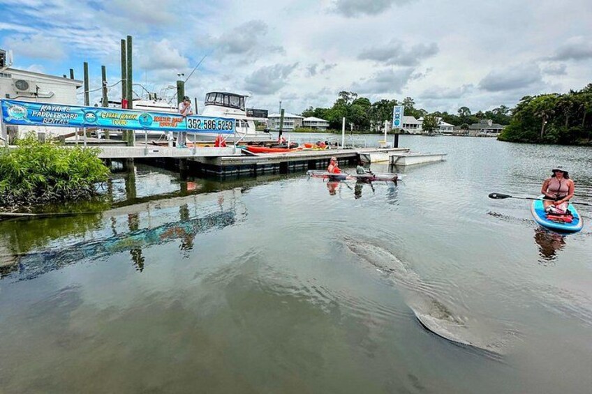 A calm river with a paddleboarder, a dock with a boat, and a signboard. 4