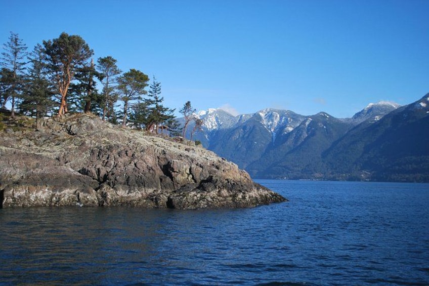 Un littoral rocheux bordé d’arbres, un lac et, au loin, des montagnes aux sommets enneigés. 3