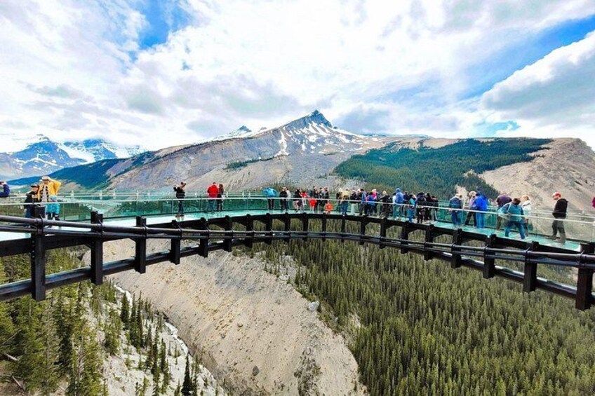Columbia Icefield, Crowfoot Glacier and Bow ,Peyto Lake Tour 2