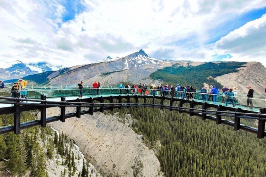Columbia Icefield, Crowfoot Glacier and Bow ,Peyto Lake Tour 2