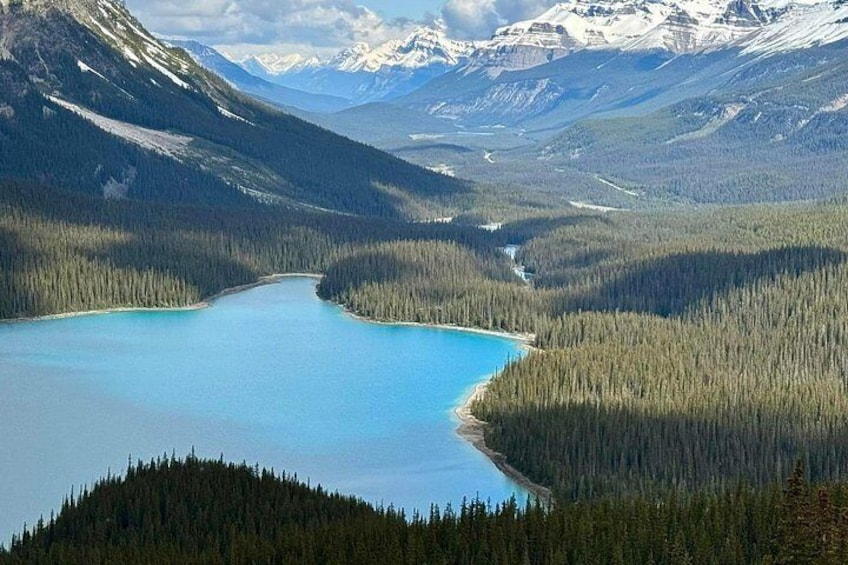 Columbia Icefield, Crowfoot Glacier and Bow ,Peyto Lake Tour 2