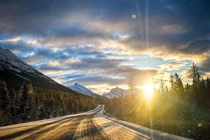 Columbia Icefield, Crowfoot Glacier and Bow ,Peyto Lake Tour 3