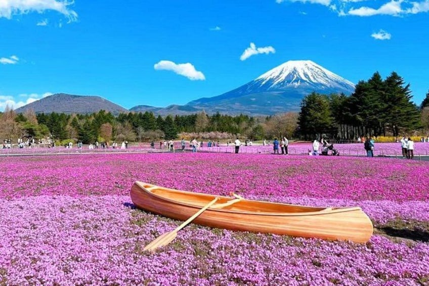 A field of purple flowers with a wooden boat in the foreground and Mount Fuji in the background. 4