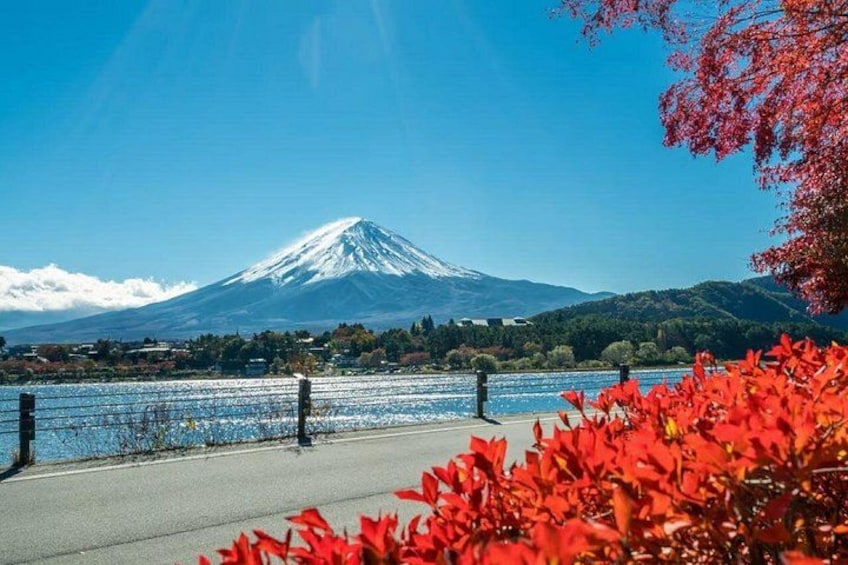 A snow-capped mountain, a body of water, and red foliage. 2