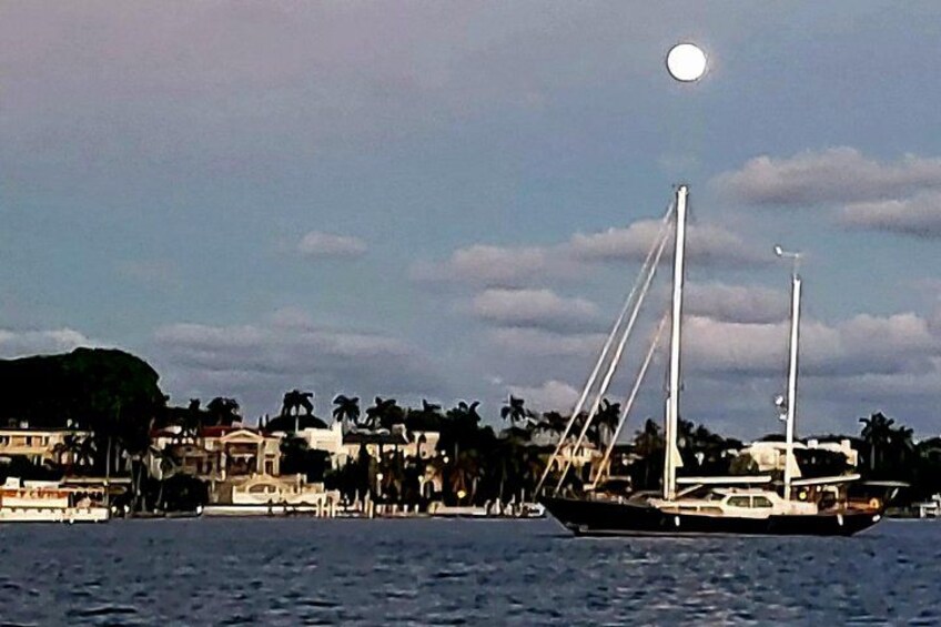 A sailboat on calm water, a clear sky, and a distant shoreline with buildings and palm trees. 2