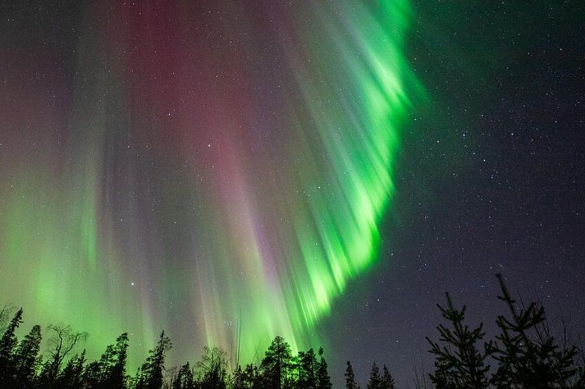 Nordlys over et skovområde. 3