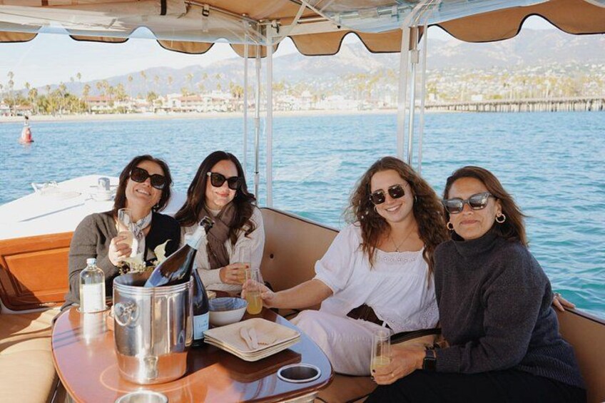 Private Harbor Cruise on Electric Boat in Santa Barbara 5