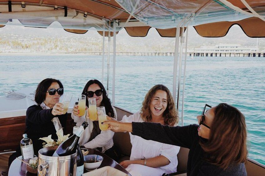 Private Harbor Cruise on Electric Boat in Santa Barbara 2