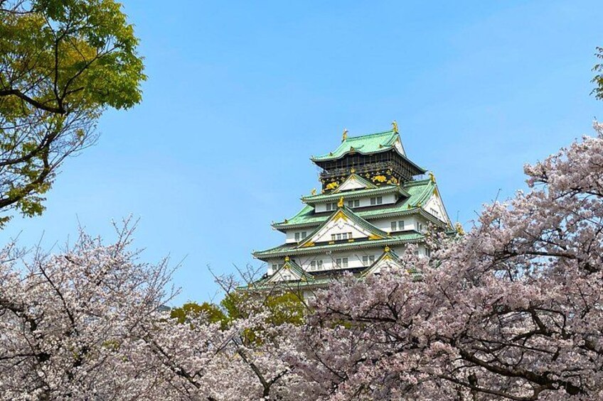 Et traditionelt japansk slot med flere etager, omgivet af kirsebærtræer. 5