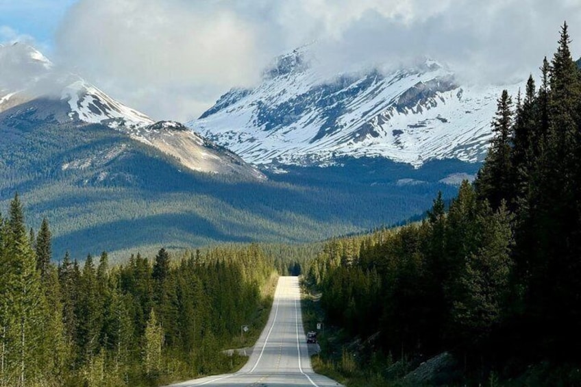 Une route traversant une forêt, avec des montagnes enneigées en arrière-plan. 2