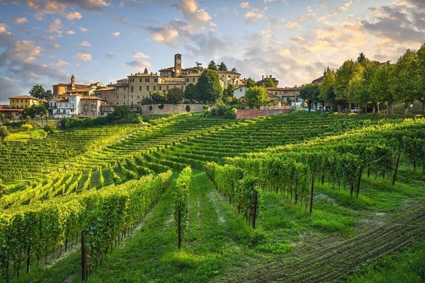 Private Barolo Wine Tour from Milan – Boutique Winery & Pick-up 1