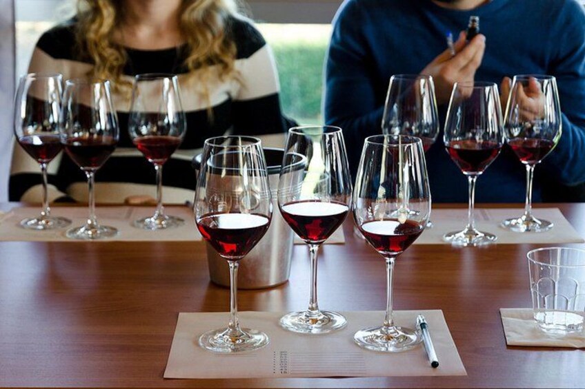 Private Barolo Wine Tour from Milan – Boutique Winery & Pick-up 2