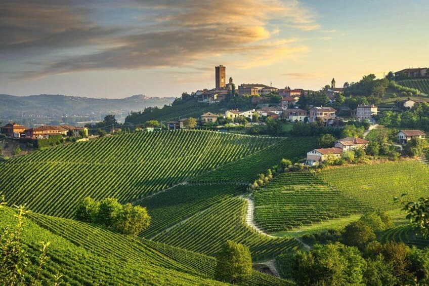 Private Barolo Wine Tour from Milan – Boutique Winery & Pick-up 4