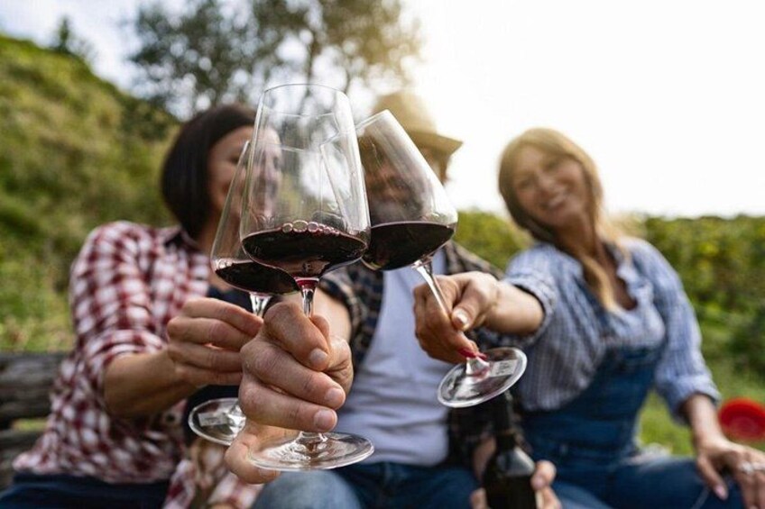 Cheers with wine, sunshine and good company 5