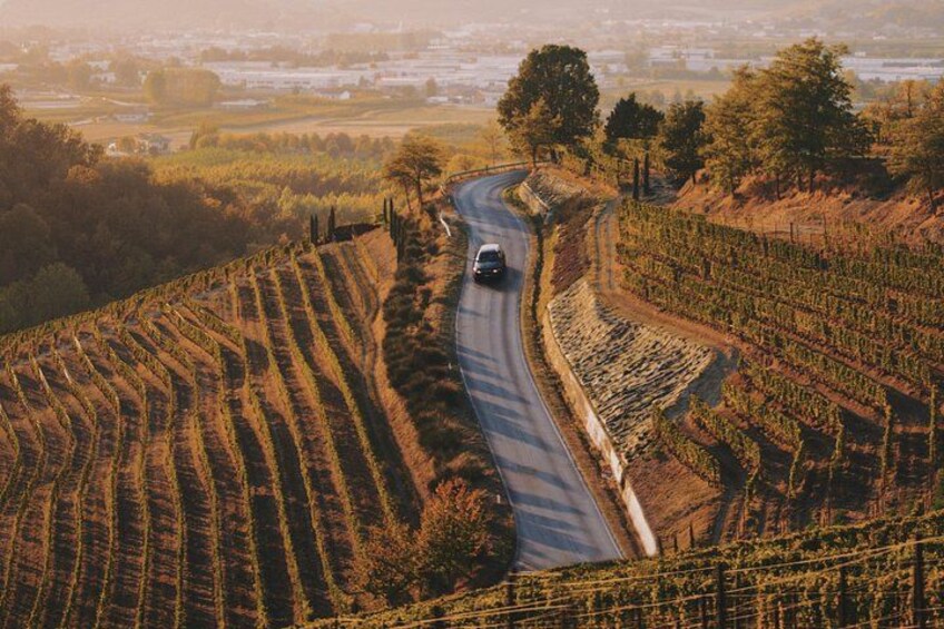 6-hour Private Luxury SUV Wine Tour in Napa Or Sonoma Valley 2