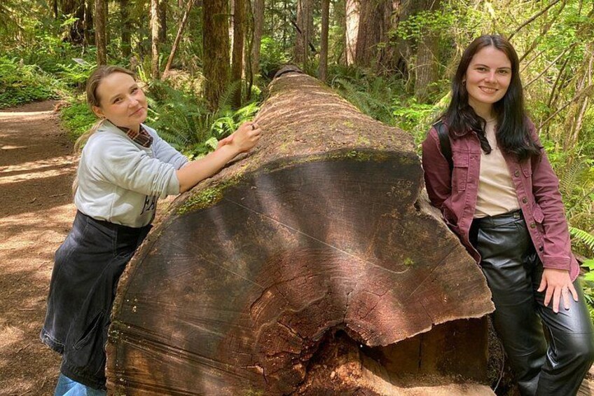 Two people standing next to a large tree trunk in a forest. 1