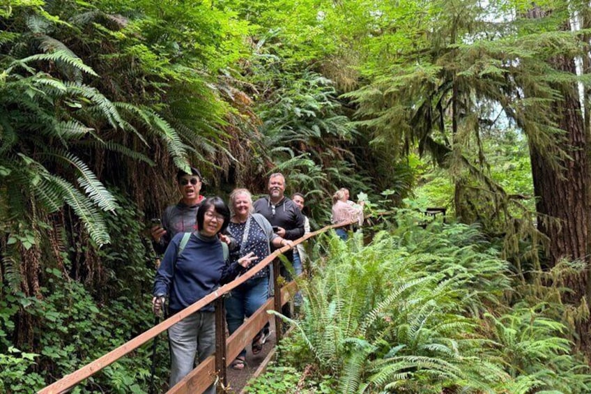 Seattle: Rainforest, Beach, and Olympic National Park Highlights 2