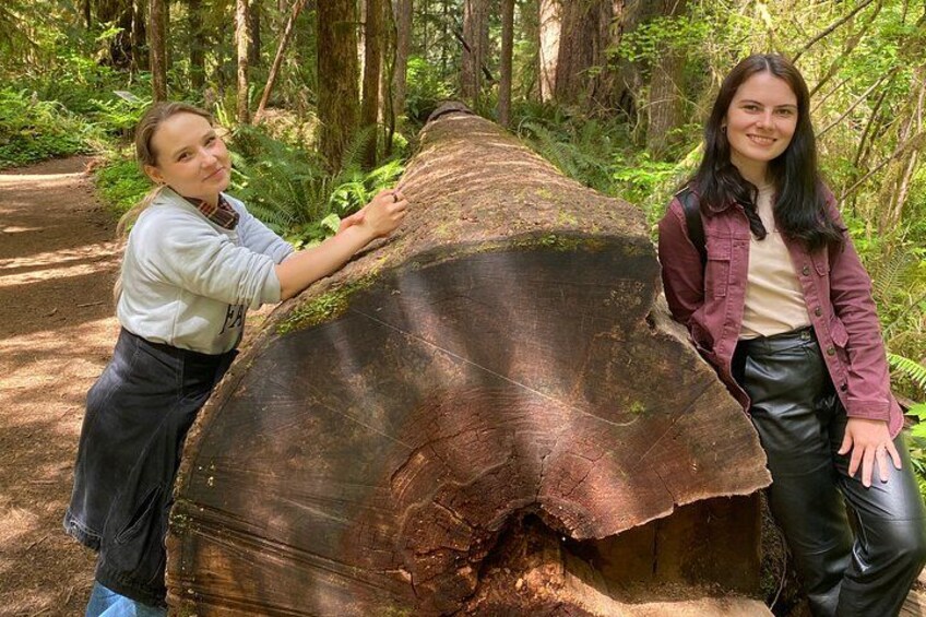 Two people standing next to a large fallen tree in a forest. 1