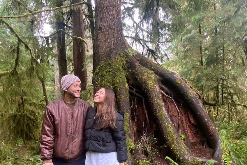 Quinault Rainforest 3