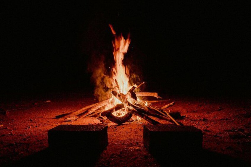 A campfire with logs and flames, surrounded by a dark, barren landscape. 3