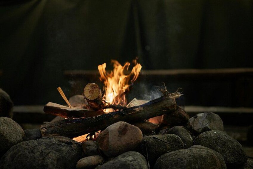 A campfire with logs and rocks. 2