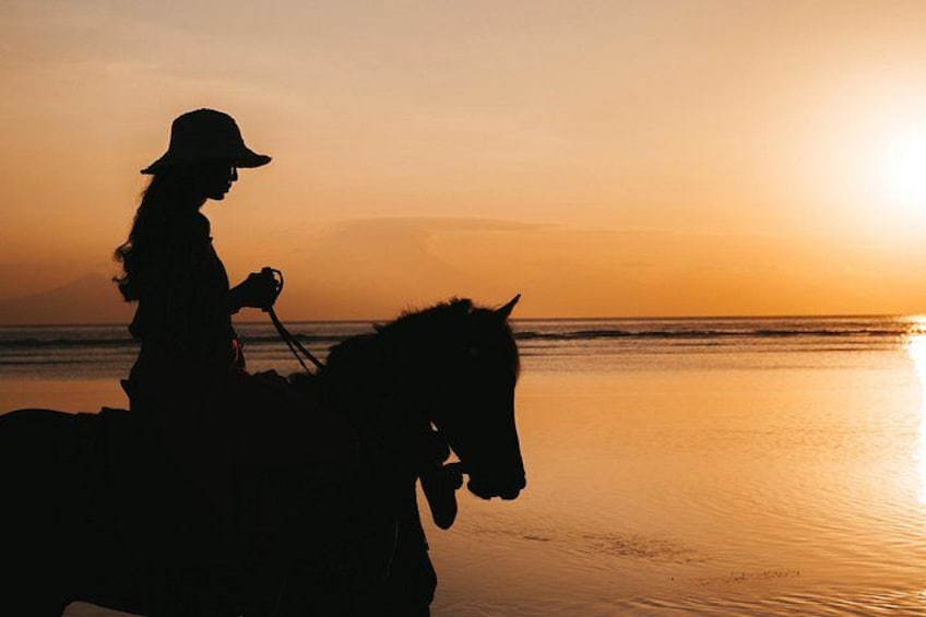A silhouette of a person riding a horse on a beach at sunset. 1