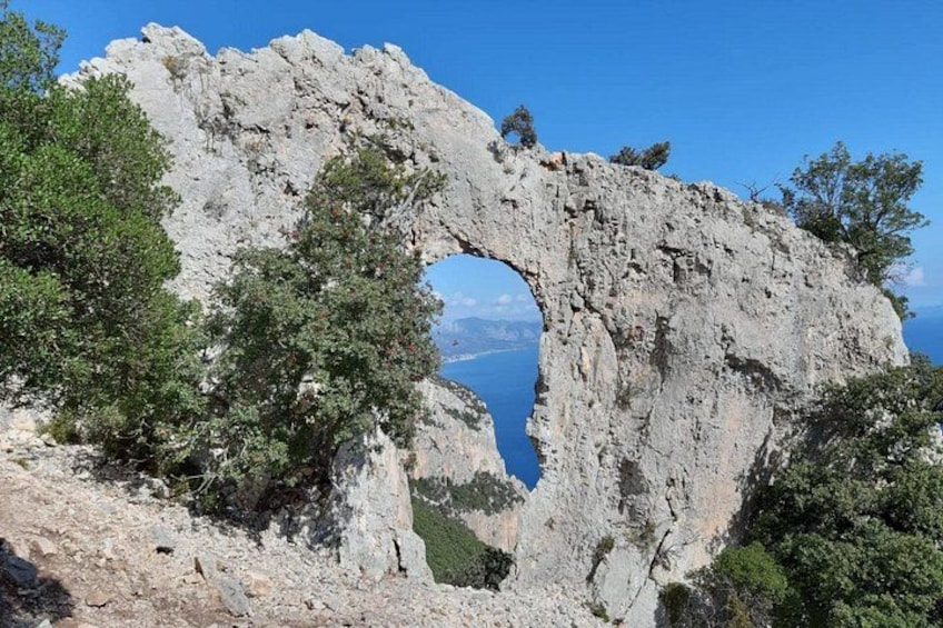 Un arco natural de roca rodeado de árboles. 2