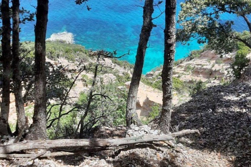 A rocky coastal landscape with trees and a clear blue sea. 1