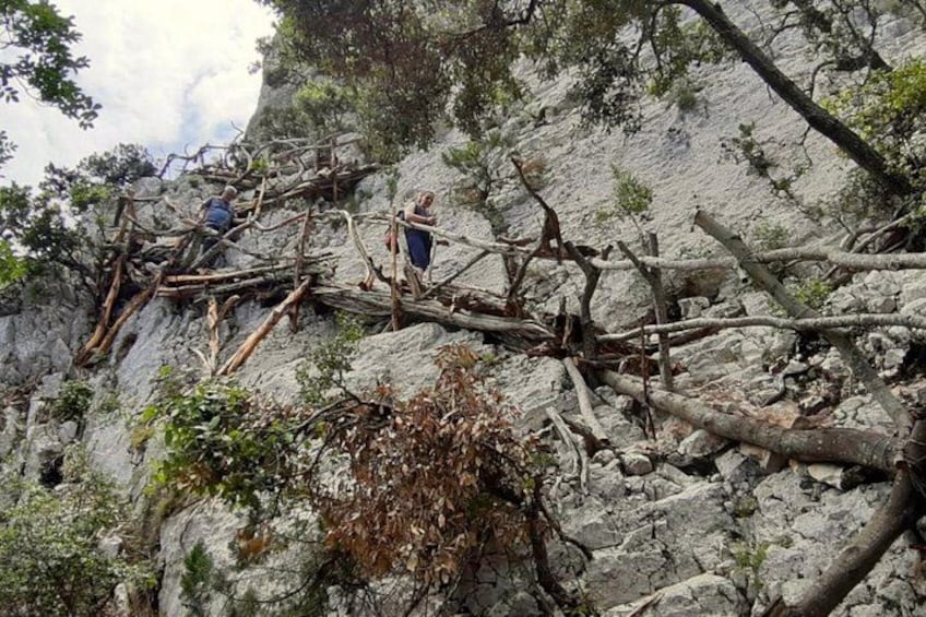 A rocky cliff with fallen branches and a person climbing. 3