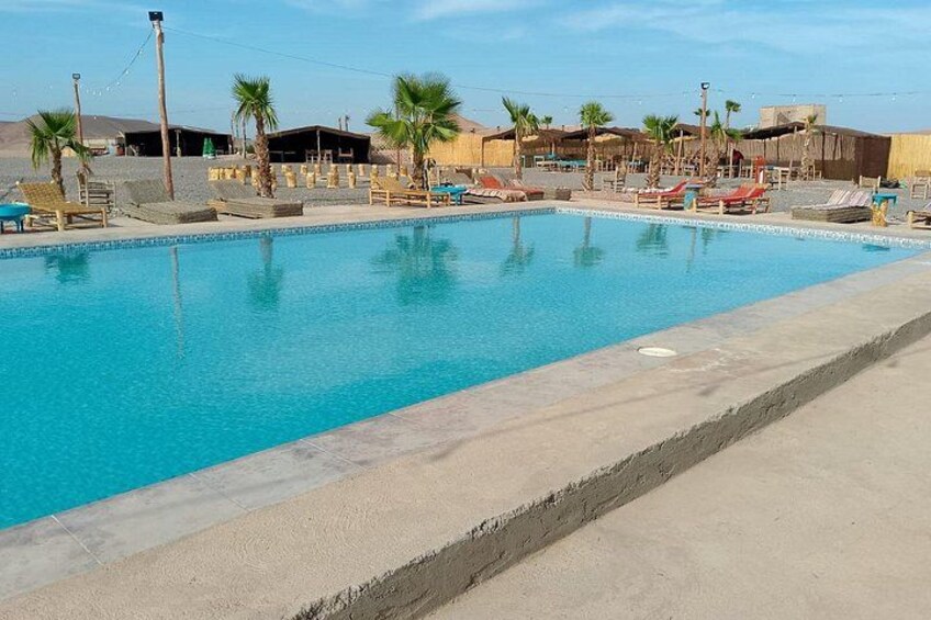A swimming pool with lounge chairs and palm trees. 2