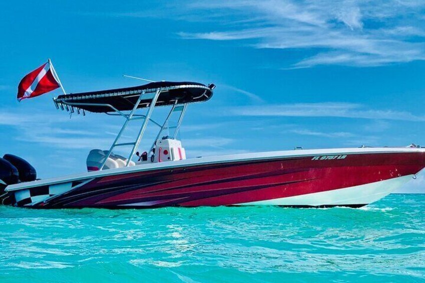 Captain Stewys Charters #1 tours and trips in Key Largo and Islamorada 