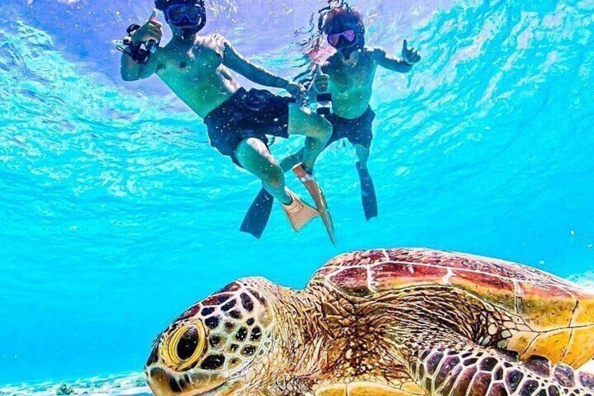Okinawa Miyako Sea turtle Snorkeling Free Pick up and Drop off 3