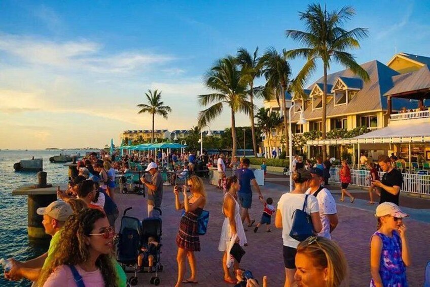 Key West Adventure: One-Day Escape from Miami 5