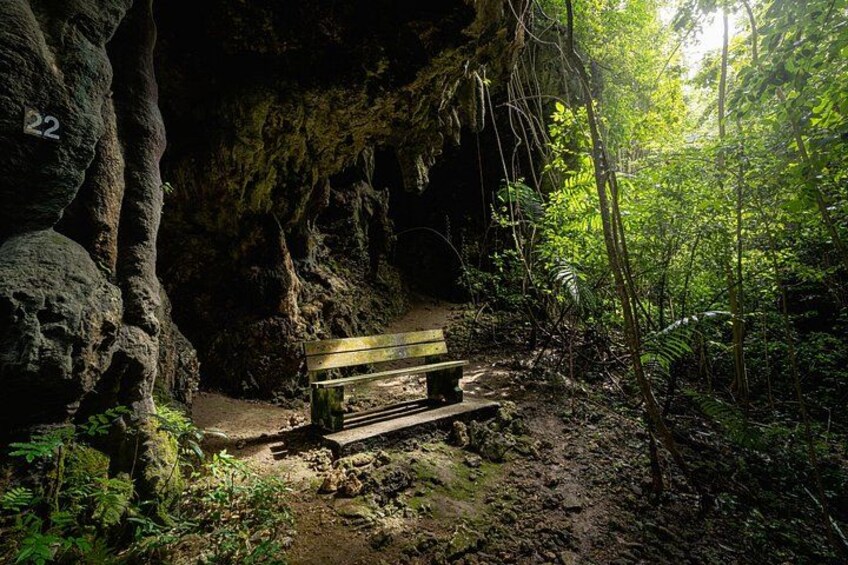 Welchman Hall Gully 4