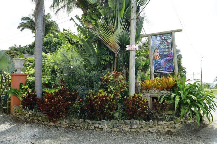 Hunte's Gardens 2