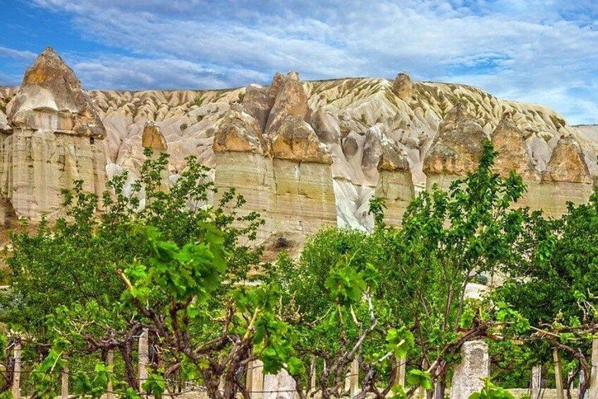 A landscape with unique rock formations, a vineyard in the foreground, and a clear sky. 1
