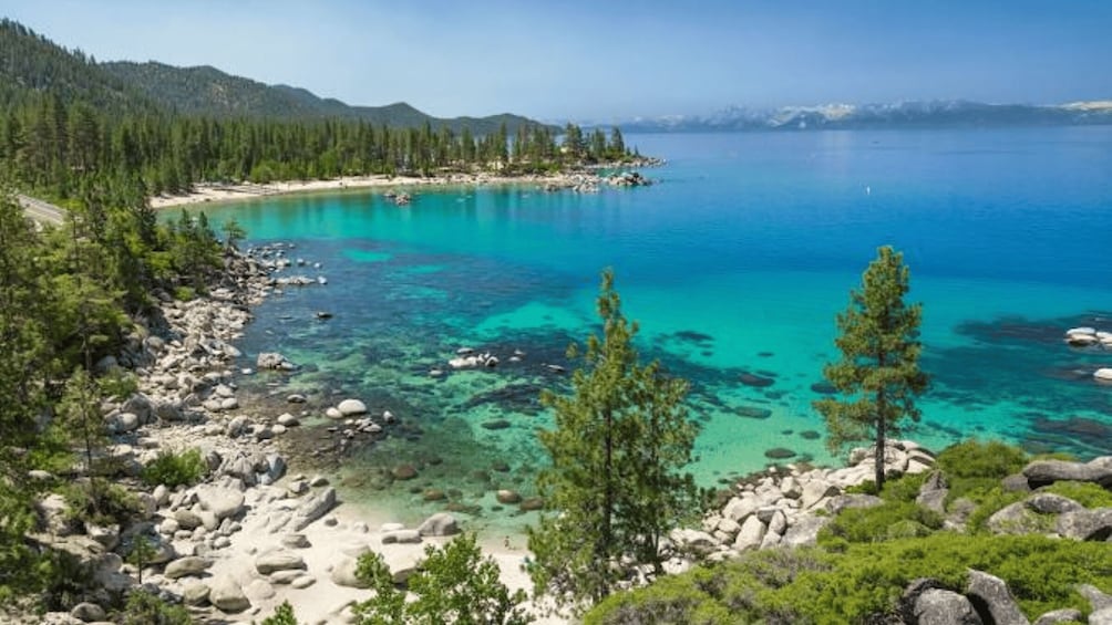 Picture 3 for Activity Lake Tahoe: Guided Scenic Bike Experience 3
