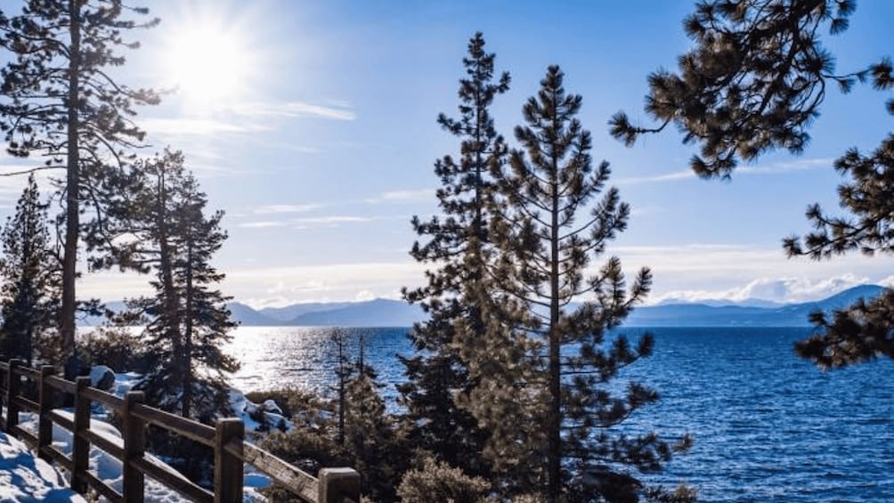 Picture 2 for Activity Lake Tahoe: Guided Scenic Bike Experience 4