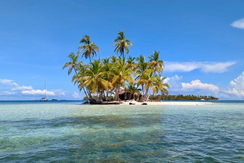 A tropical island with palm trees and clear blue water. 4