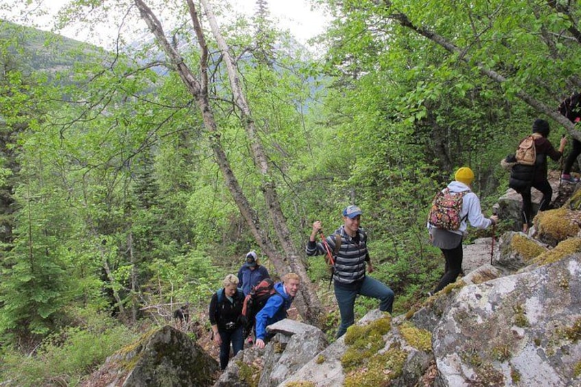 A group of hikers on a rocky trail surrounded by dense forest. 5