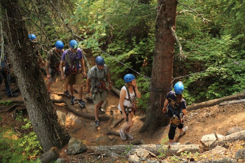Hike up the platforms 5